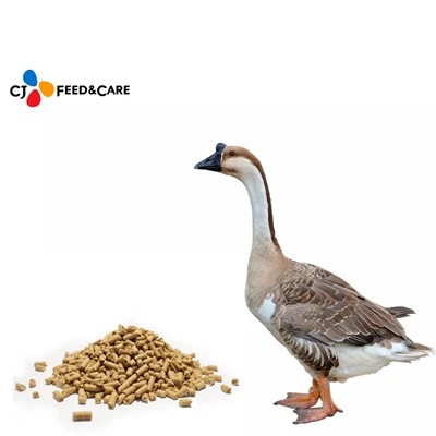 Nri geese