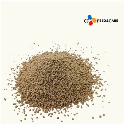 Ọgazị Starter nri